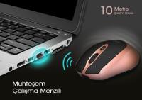 INCA IWM-396GT 1600 DPI SESSİZ ROSE GOLD WIRELESS MOUSE